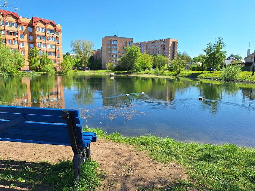 Чтобы благоустроили, надо проголосовать