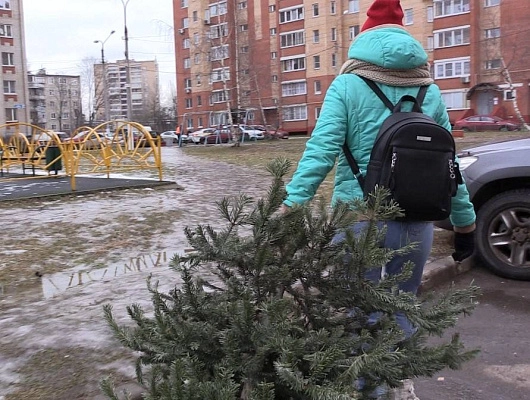 Новости истра