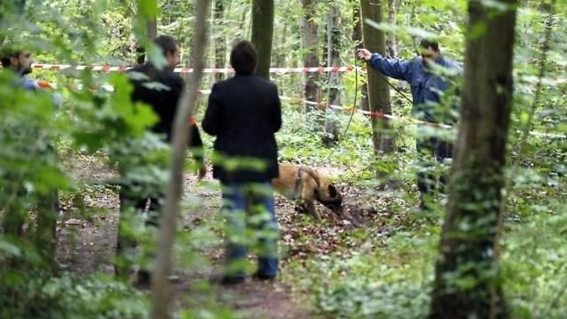 По делу об убийстве в истринском лесу задержаны трое 