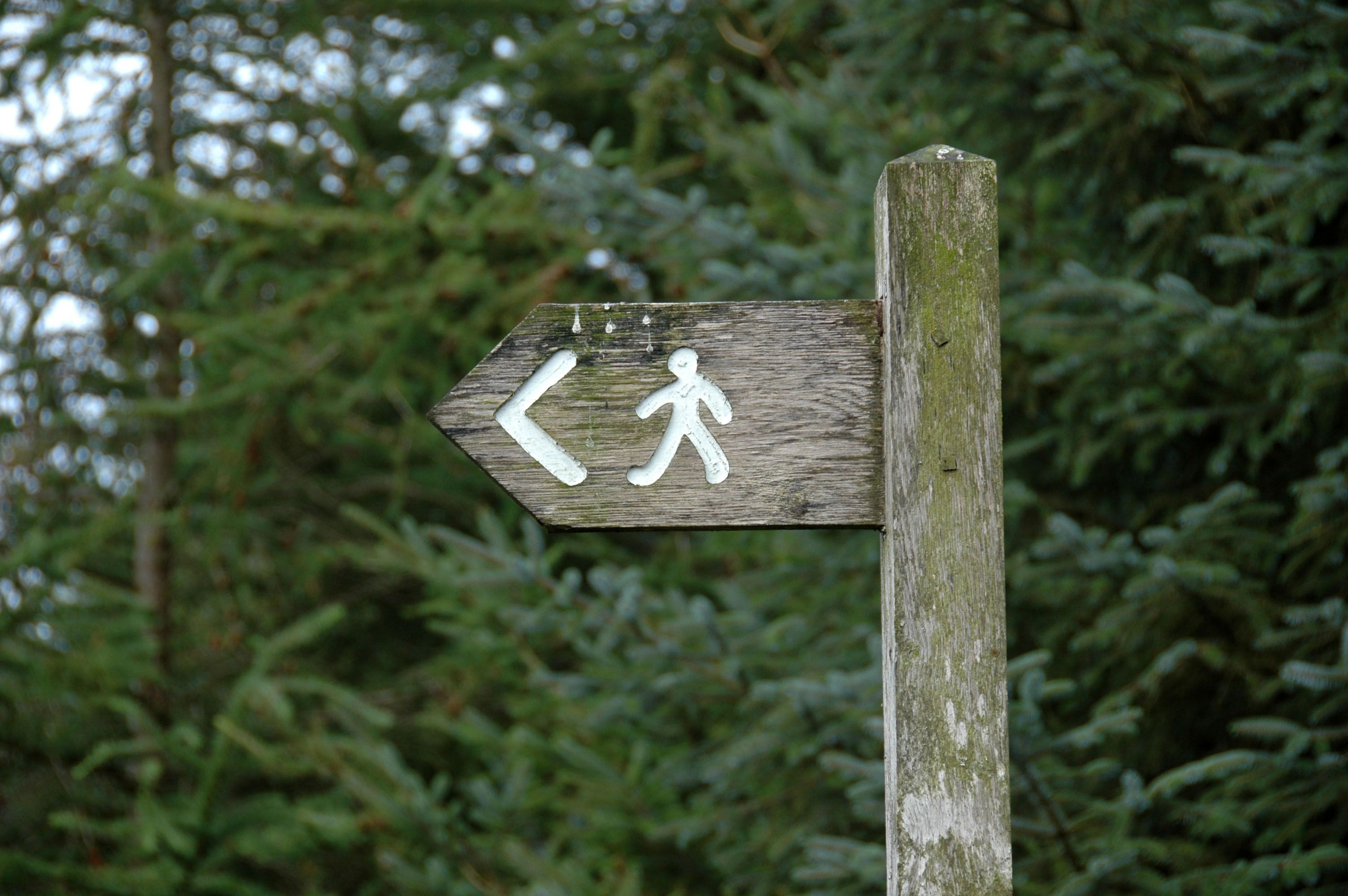 Лыжероллерную трассу на «Соколке» оборудуют специальными табличками 