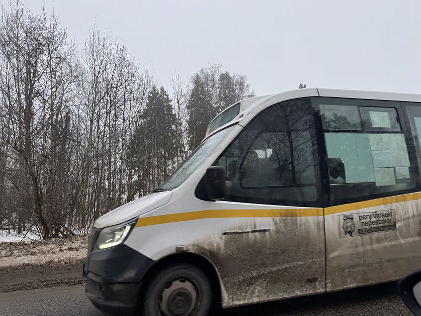 Жители Снегирей жалуются на общественный транспорт