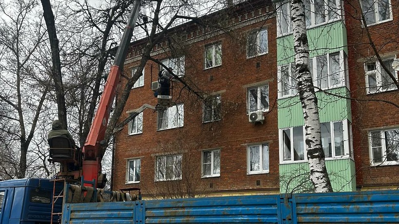 Почти два десятка деревьев упали из-за сильного ветра в Истре