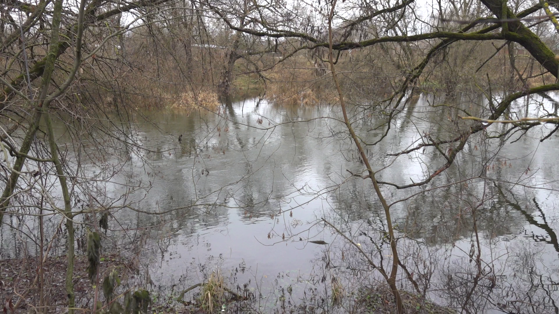 Выяснились причины повышения уровня воды в реке Истре