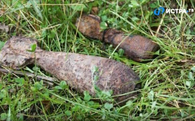 В лесном массиве вблизи деревни Хованское нашли боеприпас времен ВОВ