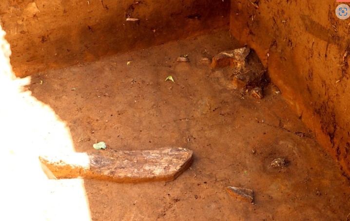 В Зарайске при проведении благоустройства были найдены бивни мамонта 