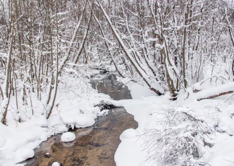 Вблизи реки Разварня в Колшино построят гостиничный комплекс 