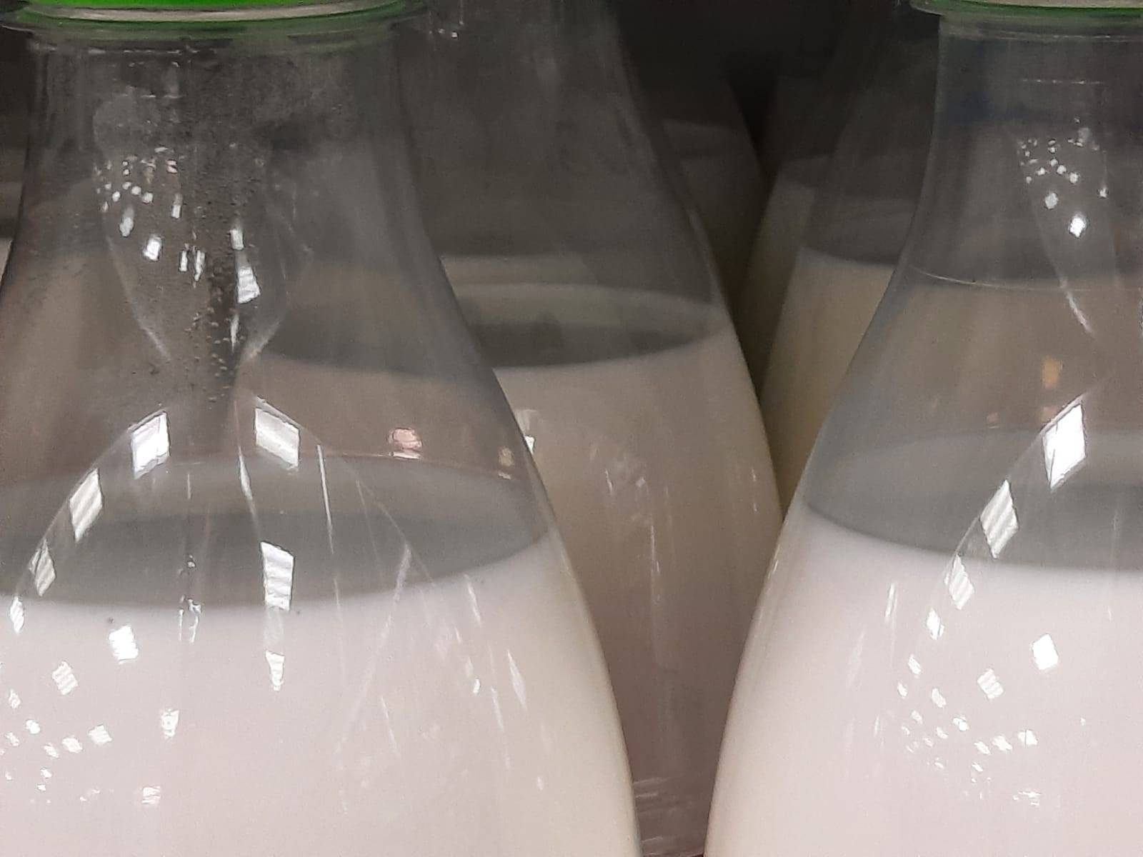Роспотребнадзор сообщил о контроле за качеством и безопасностью молочной продукции 