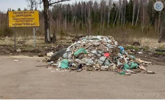 За незаконный сброс мусора в Подмосковье можно лишиться автомобиля