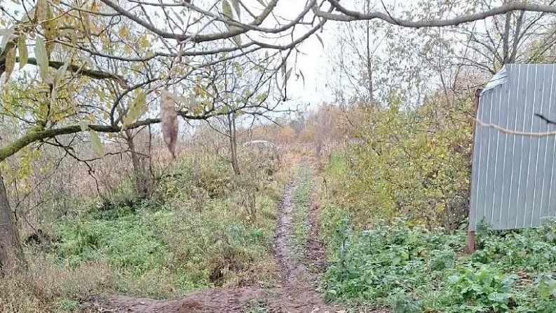 Жители Веледниково просят установить публичный сервитут на проход к реке