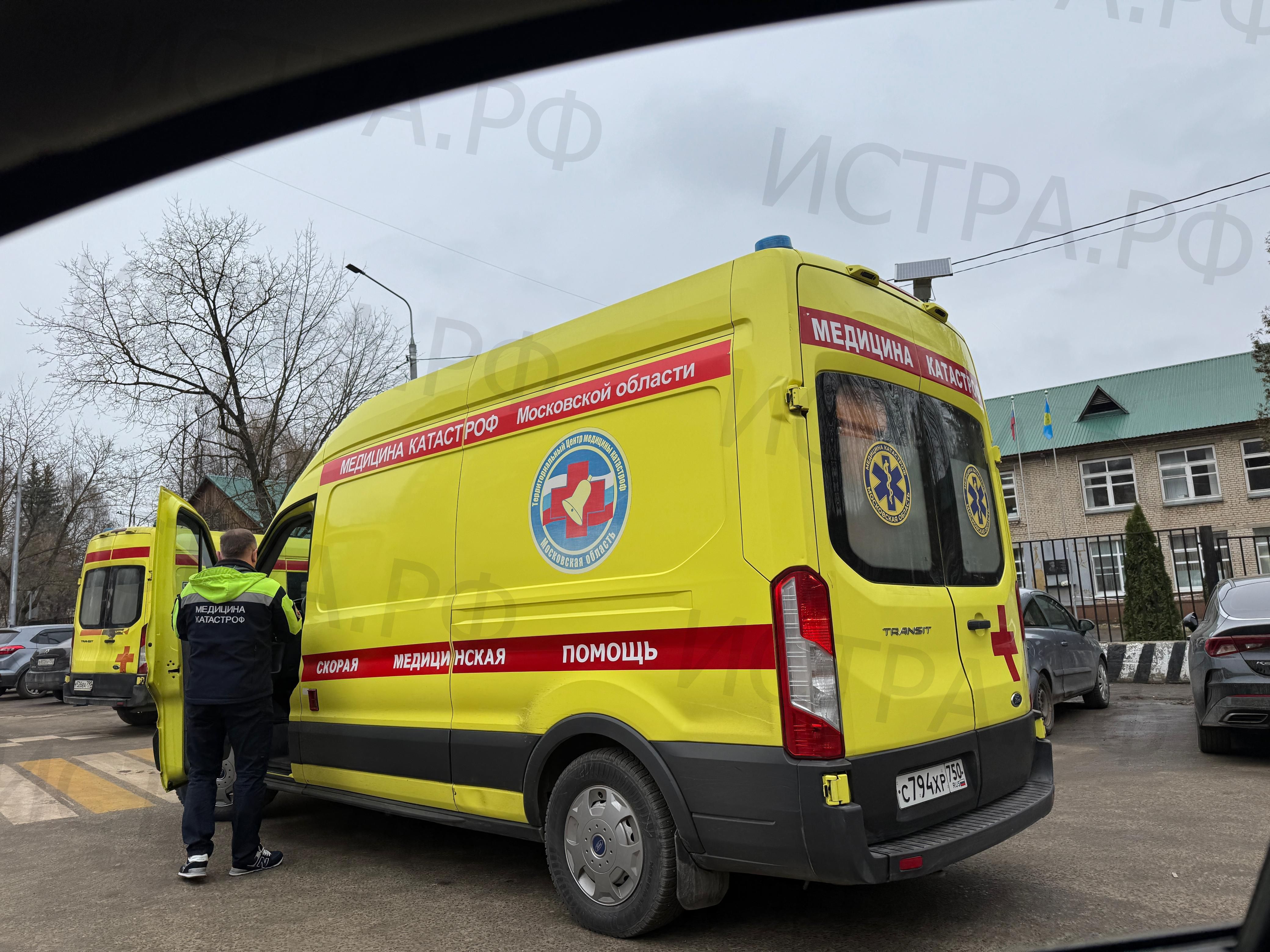 Истринская городская прокуратура взяла под контроль расследование уголовного дела о нападении собак на ребёнка в деревне Павловское