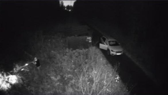 Преступление в Истре: незаконный отстрел кабанов