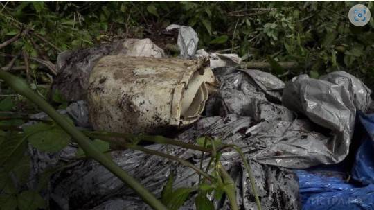 На уборку навалов мусора в лесах Подмосковья в 2023 году выделено около 170 млн рублей