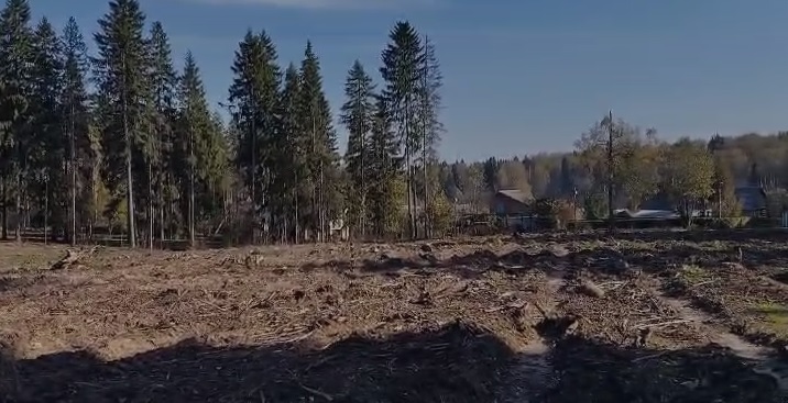 Вблизи «Соколки» вырубили лес