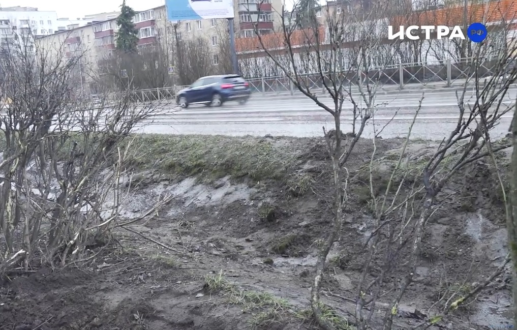 Искорёженные деревья и ограждение — итог ночного ДТП на Волоколамском шоссе