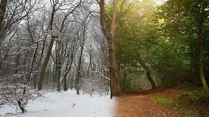 Декабрь в России обещает быть аномально тёплым