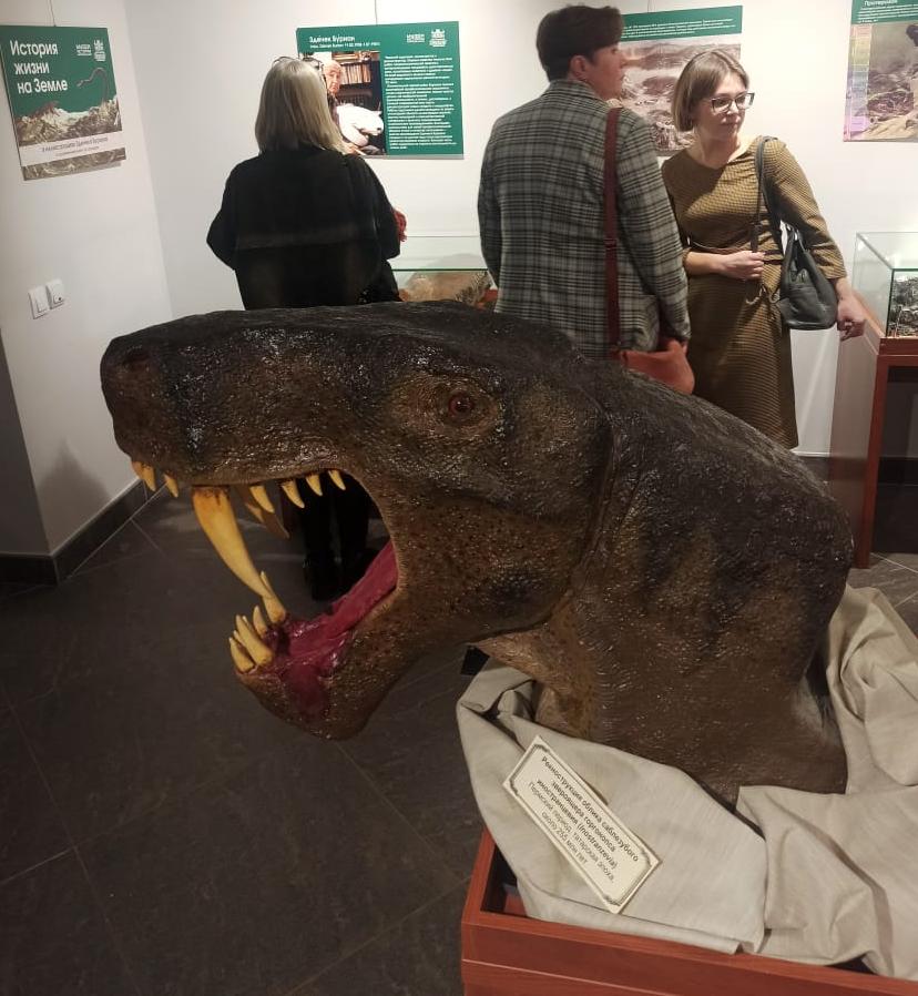 «Сокровища мироздания» из Дедовска отправились в Кострому