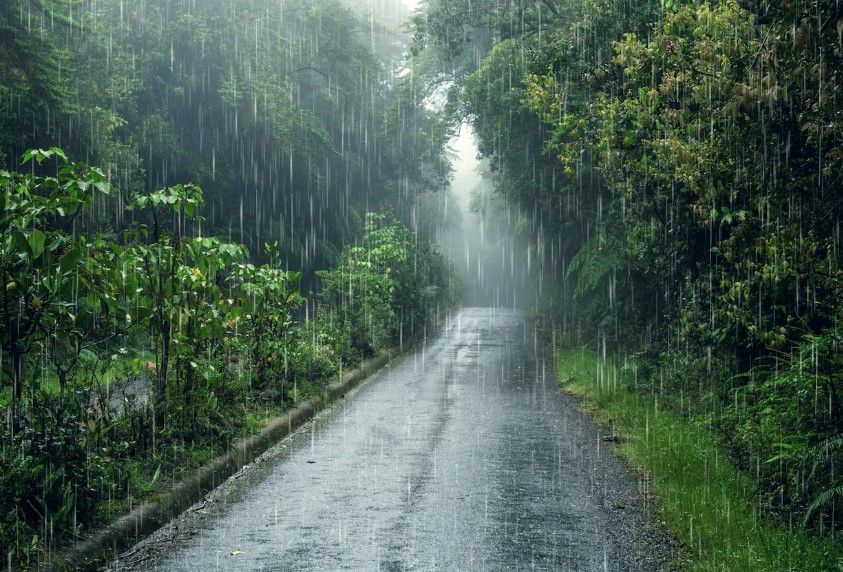 Погода вновь готовит сюрприз: ливень, град и сильный ветер