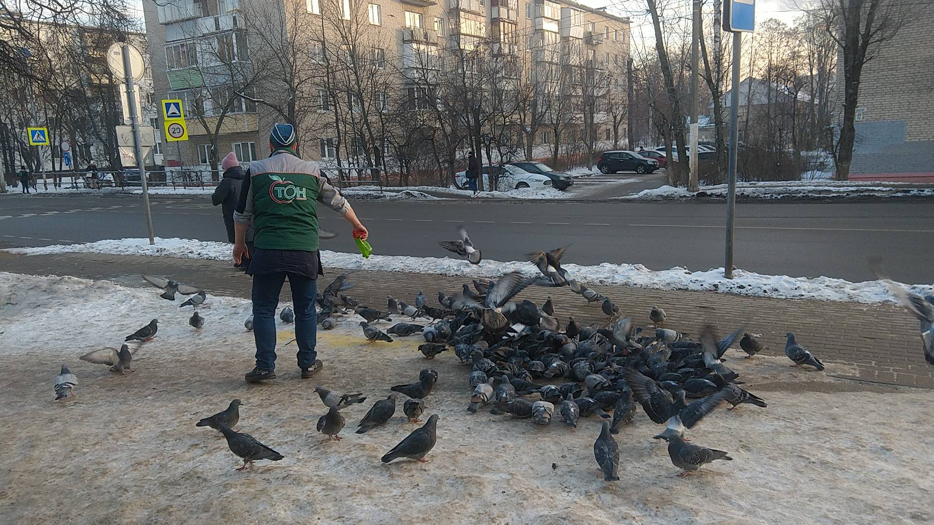 В Подмосковье стартовала акция «Покорми птиц»