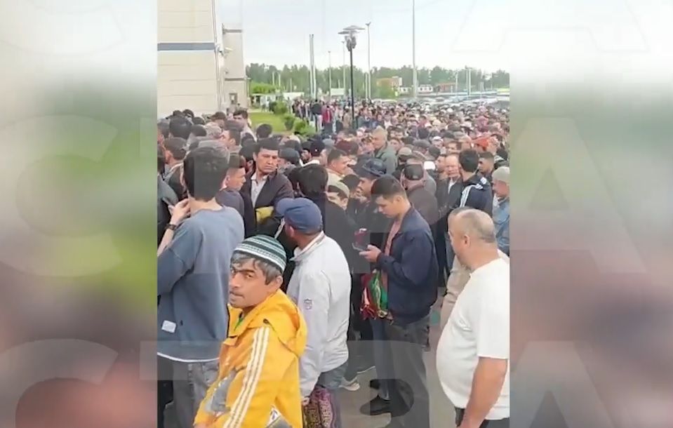 Из Истры выдворены более 1600 иностранных граждан 