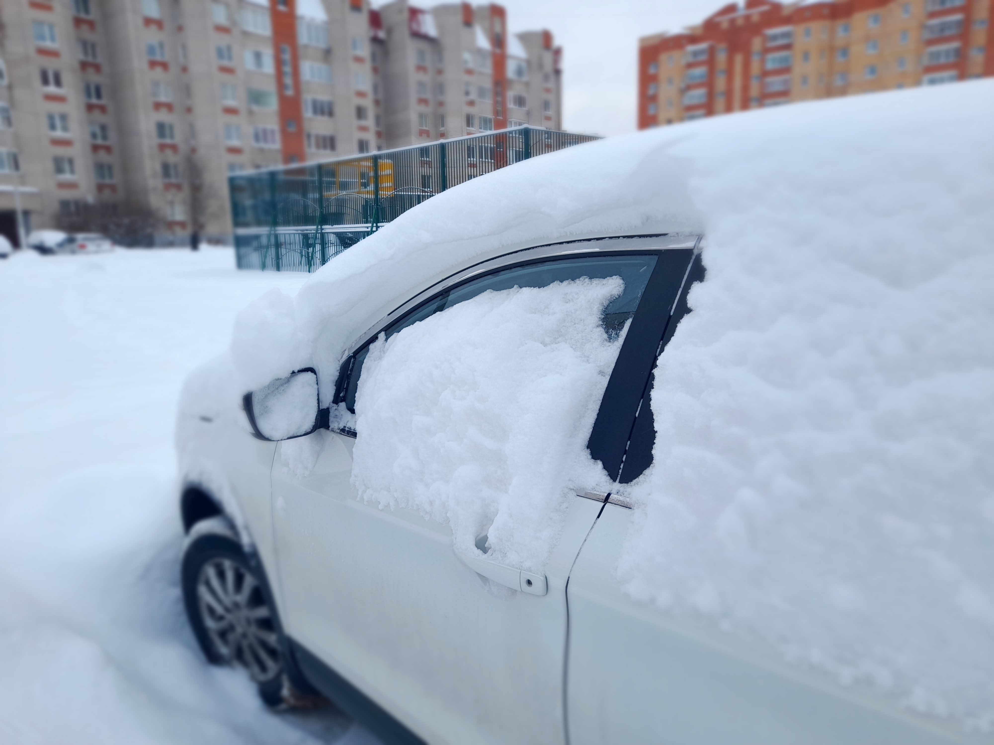 Татьяна Витушева: «Вывезли около 13 тысяч кубометров снега»