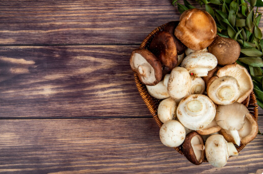 Госветслужба Помосковья взяла на контроль грибы