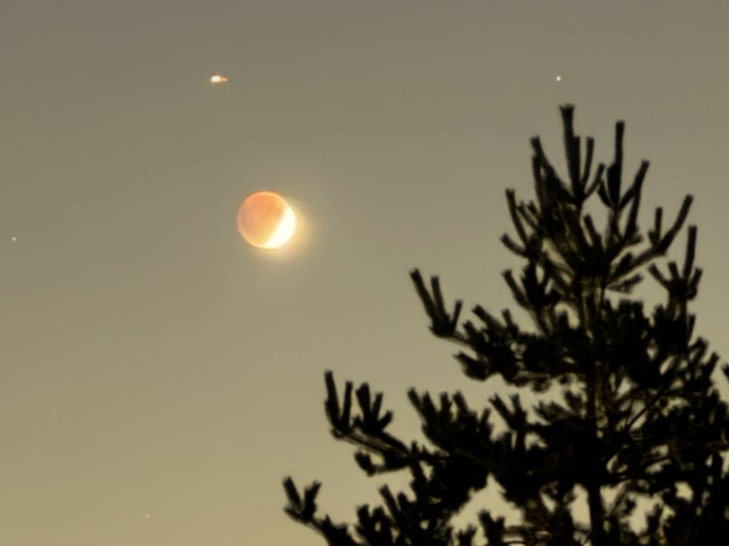 image-08-09-25-11-29-4.jpeg image-08-09-25-11-29-4.jpeg