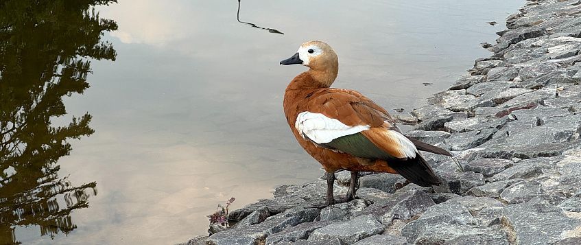 6jdp56pf5p3dit3112dvcukxlqxrs38y.jpg 6jdp56pf5p3dit3112dvcukxlqxrs38y.jpg