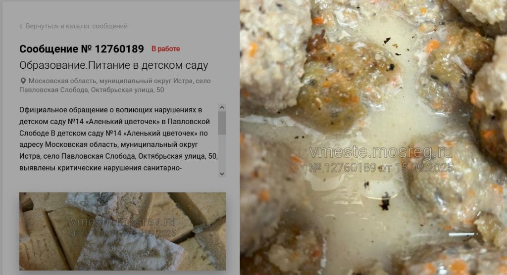 аленький цвет.jpg