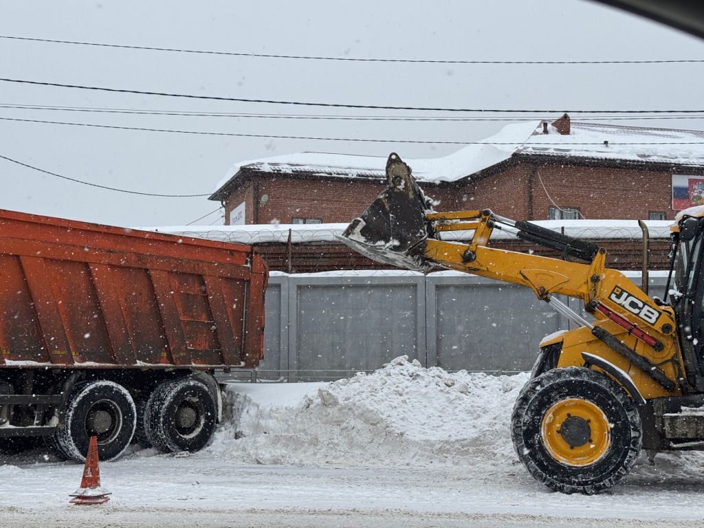 image-20-02-26-11-00-1 (1).jpeg image-20-02-26-11-00-1 (1).jpeg