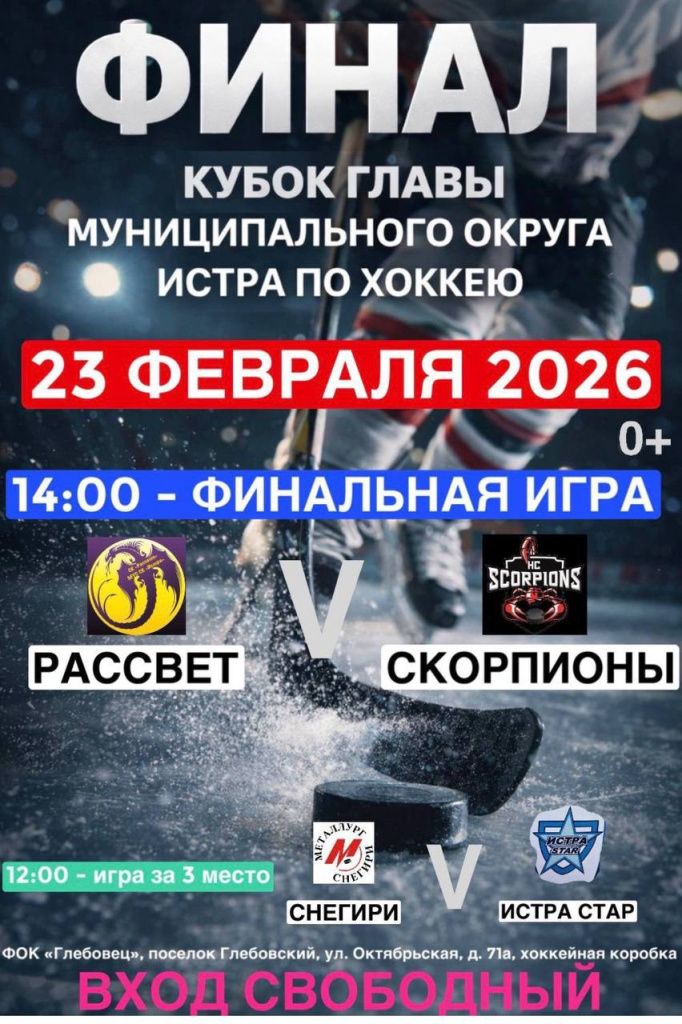 хоккей главы.jpg