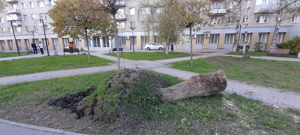 photo_2025-05-06_19-43-29.jpg photo_2025-05-06_19-43-29.jpg