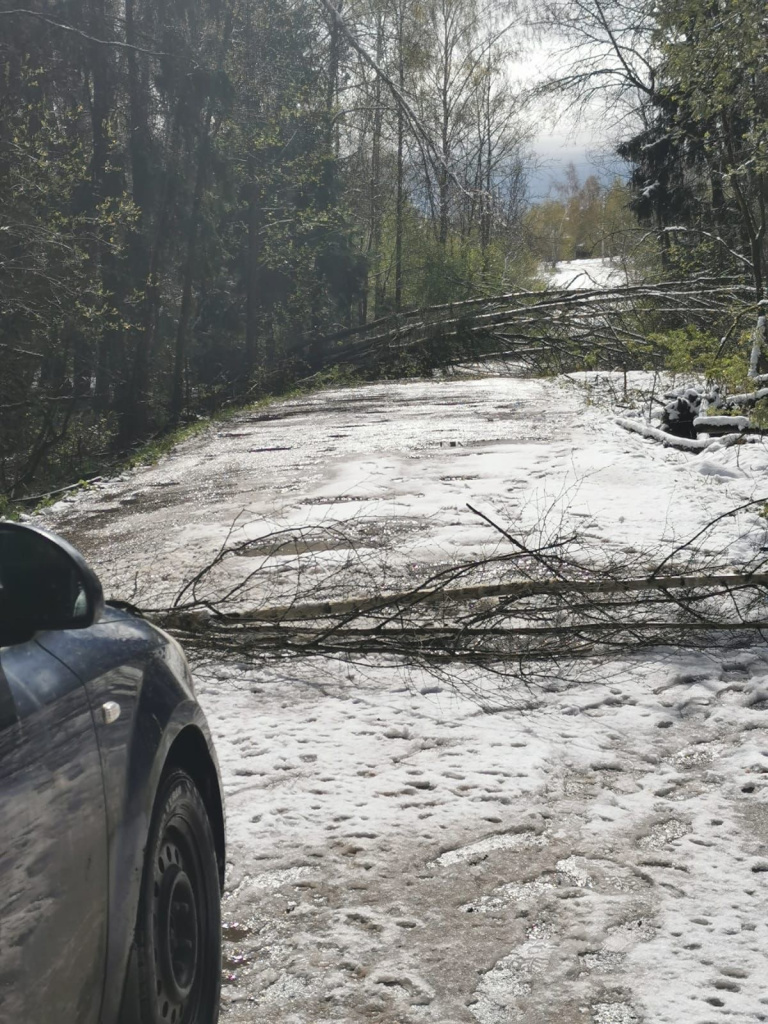 Маянова Маянова