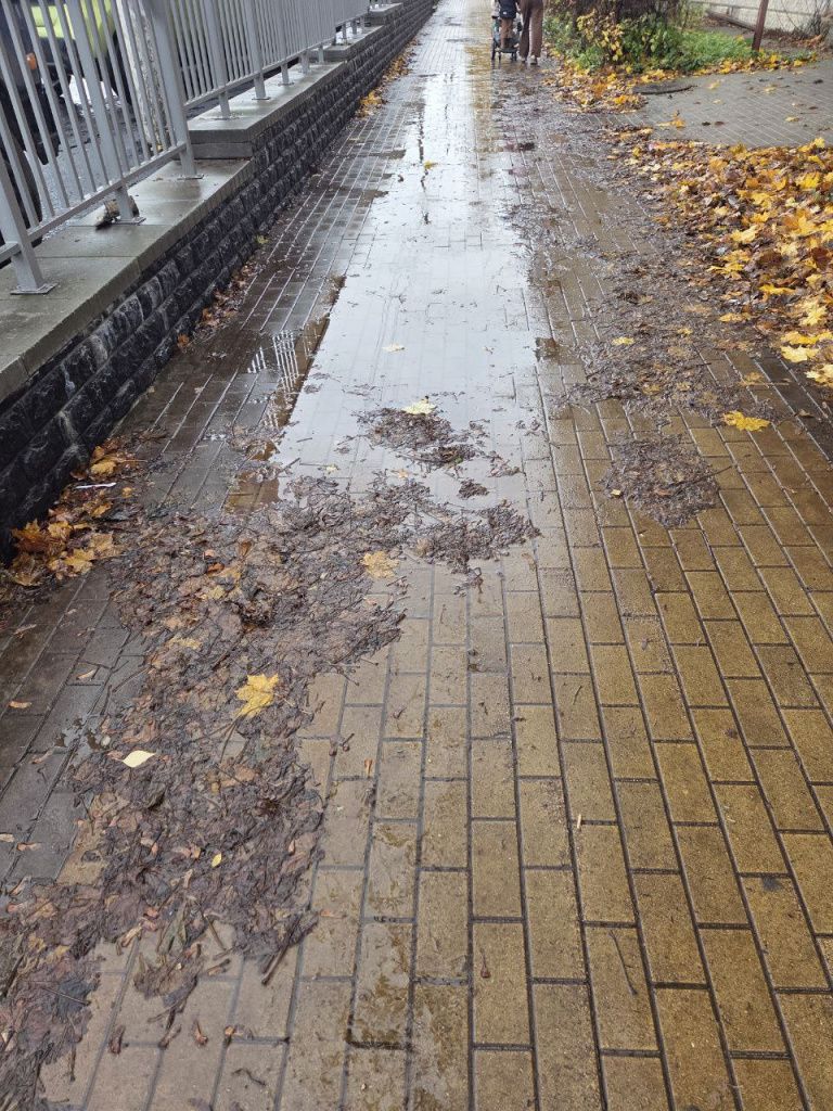 photo_2025-10-28_13-13-34.jpg photo_2025-10-28_13-13-34.jpg