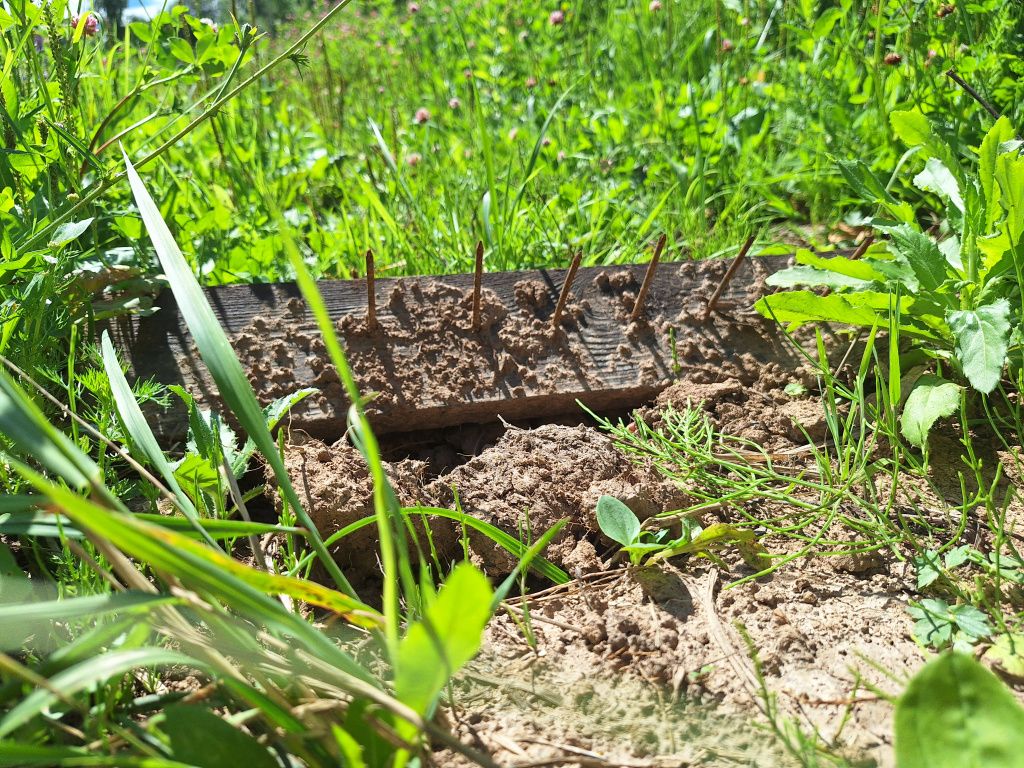 20260723_140759.jpg 20260723_140759.jpg