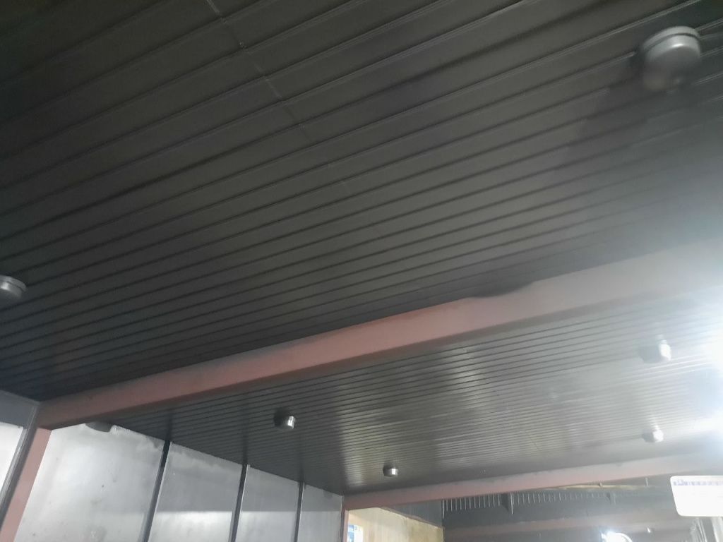 станция истра потолок.jpg