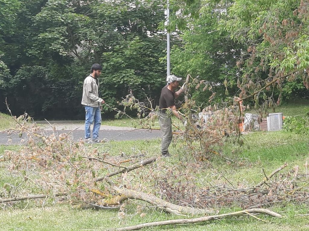 день города сухостой 2.jpg день города сухостой 2.jpg