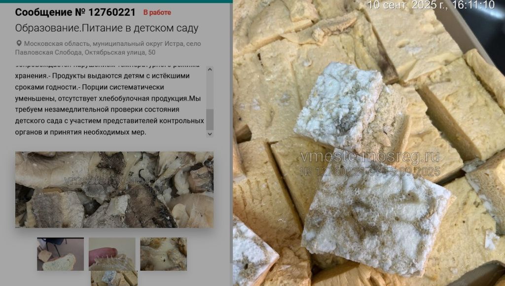 аленький цвет1.jpg