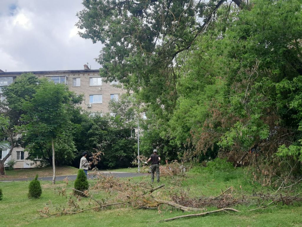 день города сухостой пообщей.jpg день города сухостой пообщей.jpg