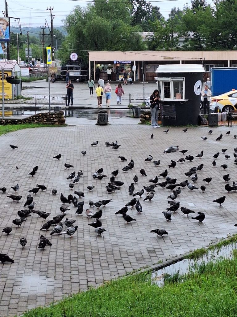 станция истра голуби.jpg