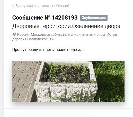 Screenshot_1028.jpg