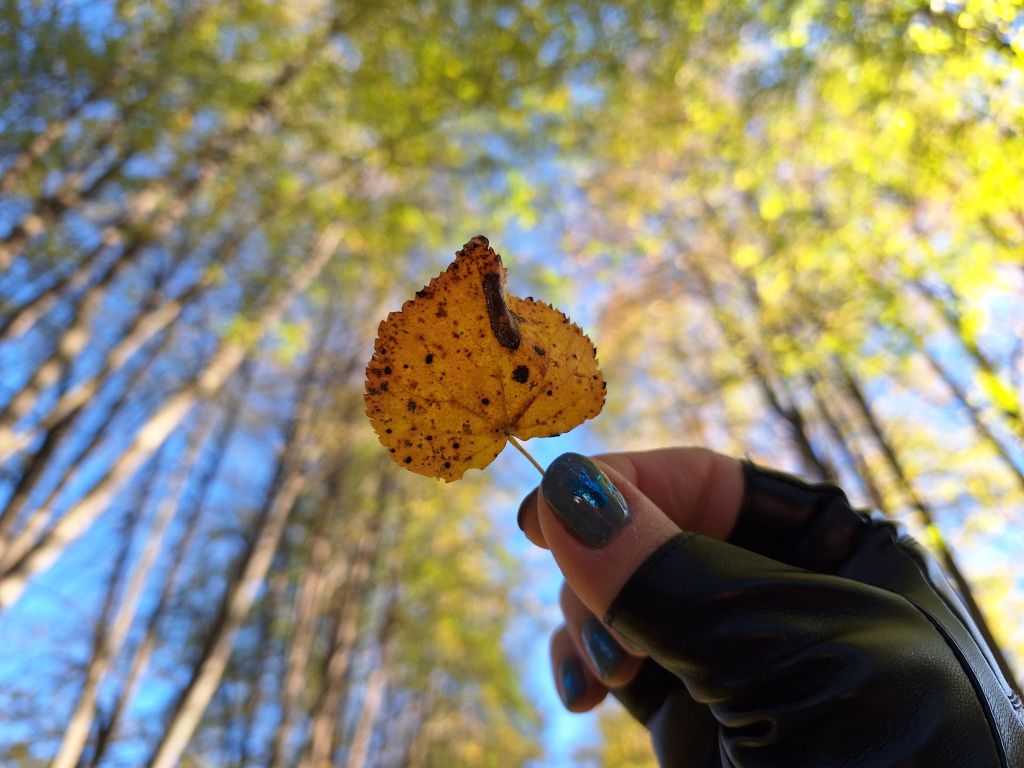 20250930_094038.jpg 20250930_094038.jpg