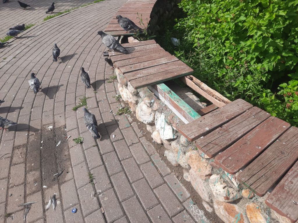 станция лавки дыра большая.jpg станция лавки дыра большая.jpg