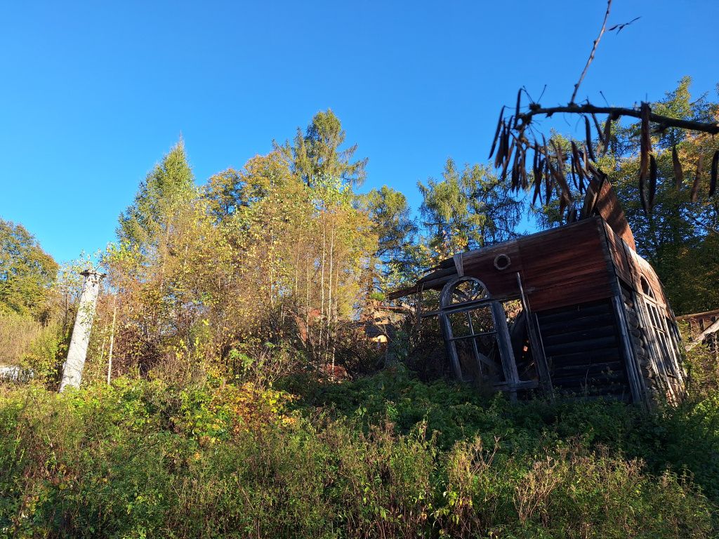 20250930_093211.jpg 20250930_093211.jpg