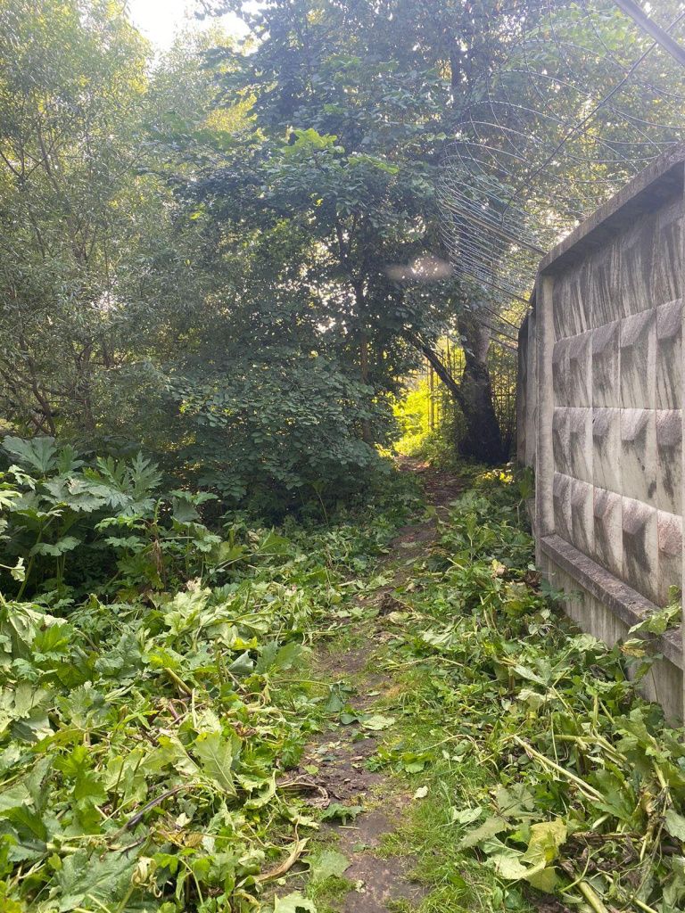 7380a133-18c9-4d1f-809c-80107bc01b13.jpg 7380a133-18c9-4d1f-809c-80107bc01b13.jpg