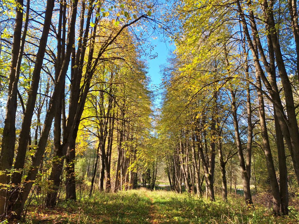 20250930_093858.jpg 20250930_093858.jpg