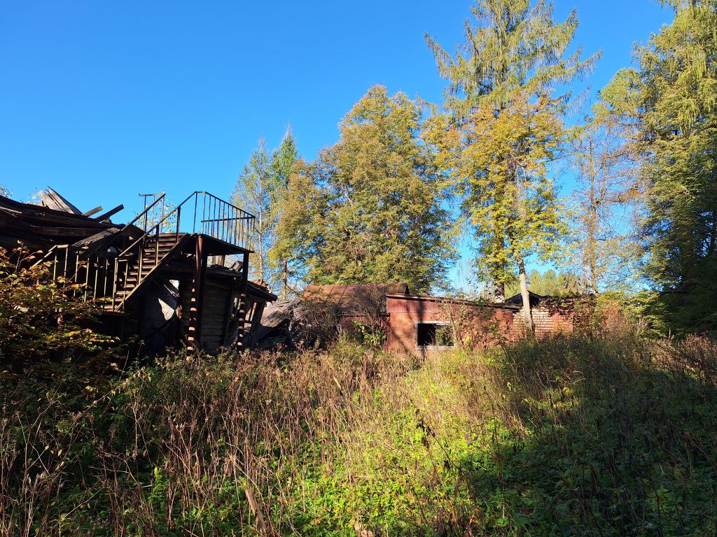 20250930_095330.jpg 20250930_095330.jpg