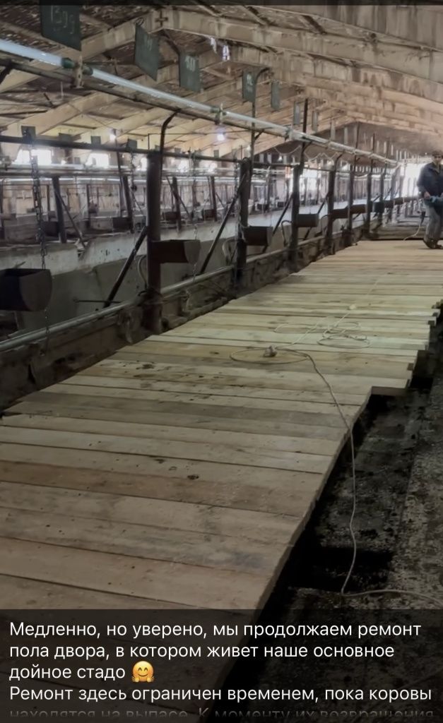 IMG_0439.jpg IMG_0439.jpg