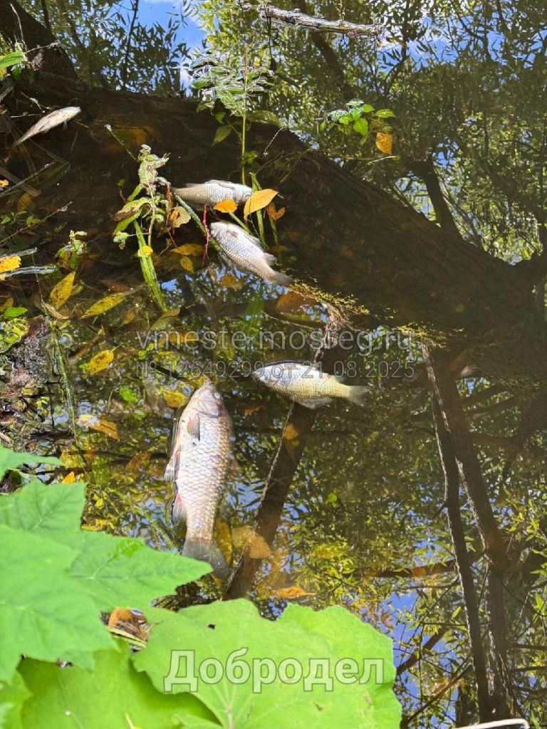 f1ff9b1e-2082-48a1-997f-cfdb25572ea9.jpg f1ff9b1e-2082-48a1-997f-cfdb25572ea9.jpg