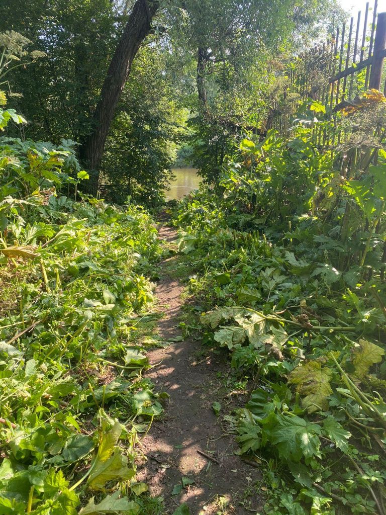 6da657cf-5e87-48ff-a2f5-a55c3c9591d3.jpg 6da657cf-5e87-48ff-a2f5-a55c3c9591d3.jpg