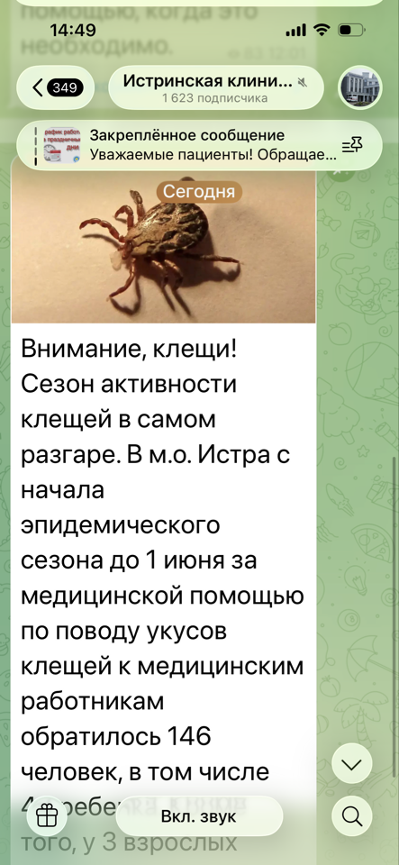 image-03-06-26-02-49.png